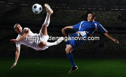 Sportbook Online